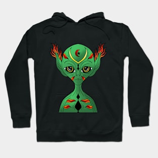 alien,funny alien,alien gift Hoodie